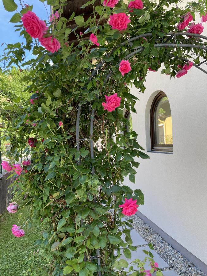 Appartement Erlbacher Lungötz エクステリア 写真